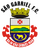 Escudo São Gabriel.png