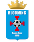 Escudo Blooming.png