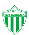 Escudo Ruy Barbosa.png