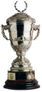 Troféu Supercopa Sul-Americana.png