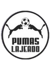 Escudo Pumas Lajeado.png