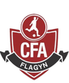 Escudo CFA Flagyn.png