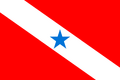 Bandeira do Pará.png