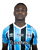 Nathan Ribeiro Fernandes.png