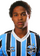 Wendell Nascimento Borges.png