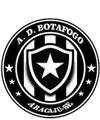 Escudo Escola Botafogo Aracaju.png