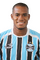 Lins Lima de Britto.png