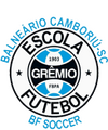 Escudo BF Soccer.png