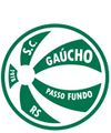 Escudo Gaúcho de Passo Fundo.png