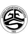 Escudo Sandense.png