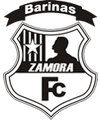 Escudo Zamora.png